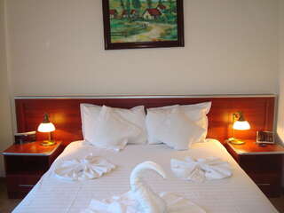 Отель Hotel Ami Бэйле-Феликс Стандартный двухместный номер с 1 кроватью-3