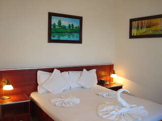 Отель Hotel Ami Бэйле-Феликс Стандартный двухместный номер с 1 кроватью-1